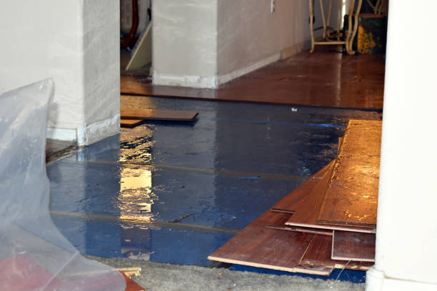 Professional Flood Cleanup technician working in Edwardsville, KS