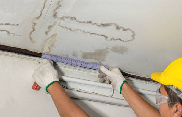 Reliable Flood Cleanup contractor in Edwardsville, KS by Water Damage Irwin
